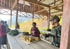 ROSITA Yonif 757/GV Borong Hasil Tani Warga Zanepa, Ekonomi Petani Diperkuat